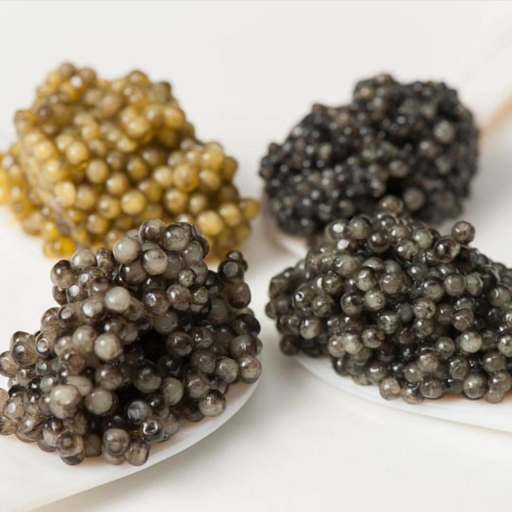 caviale